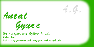 antal gyure business card