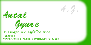 antal gyure business card